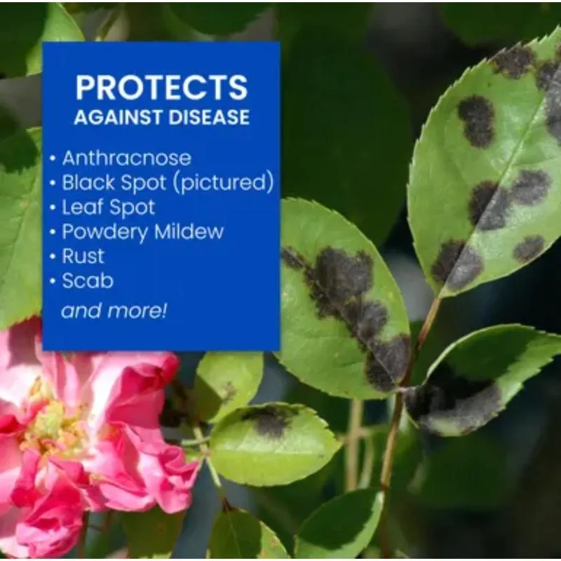 BioAdvanced Insect, Disease & Mite Control Liquid 24 oz
