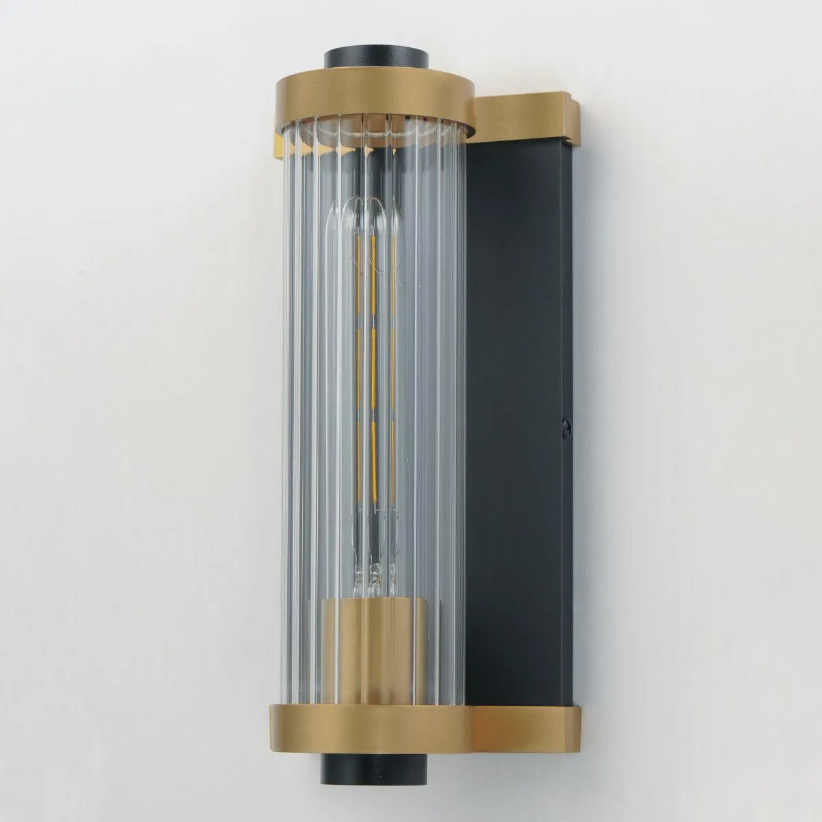 Opulent 11 in. Outdoor Wall Sconce Black and antique brass Finish