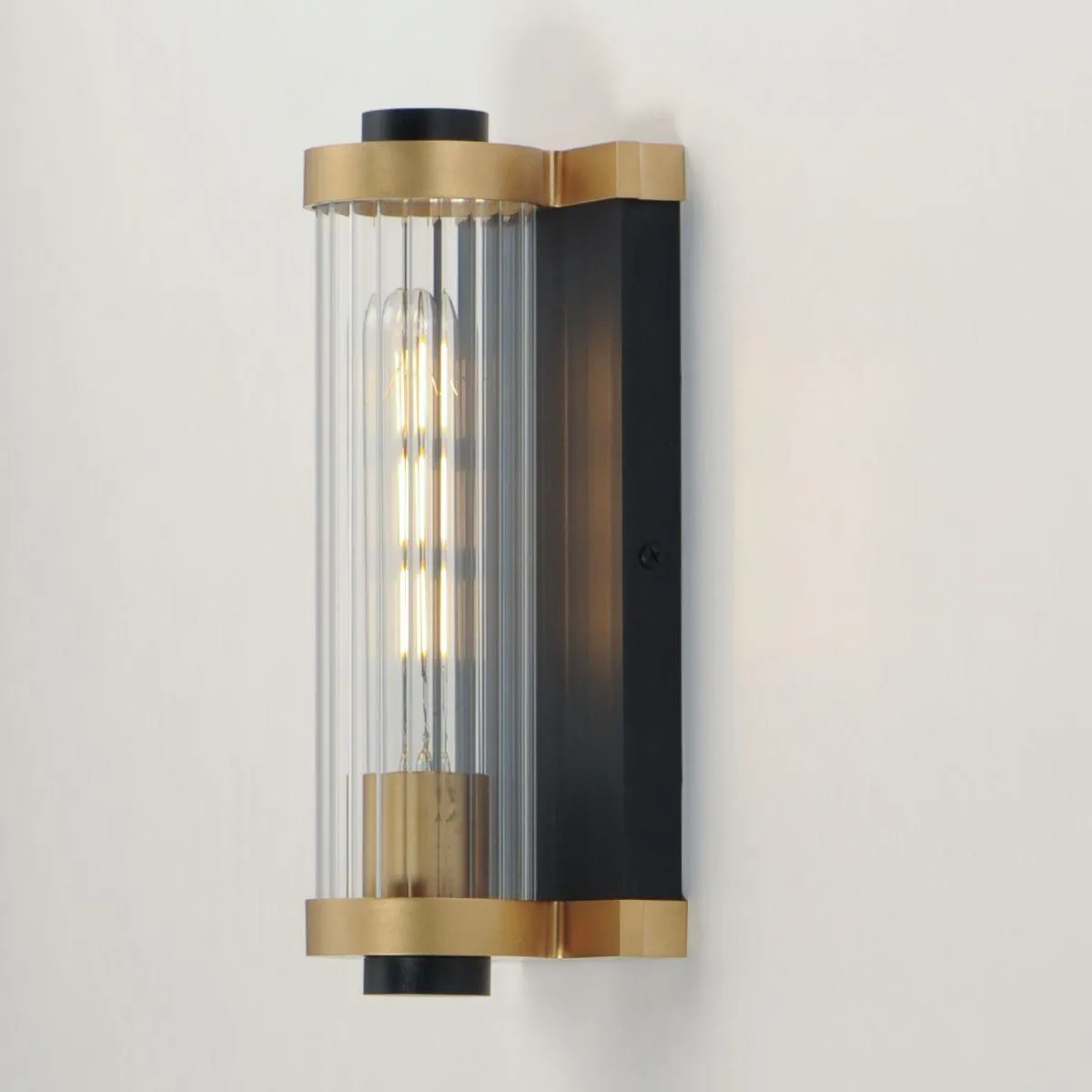 Opulent 11 in. Outdoor Wall Sconce Black and antique brass Finish